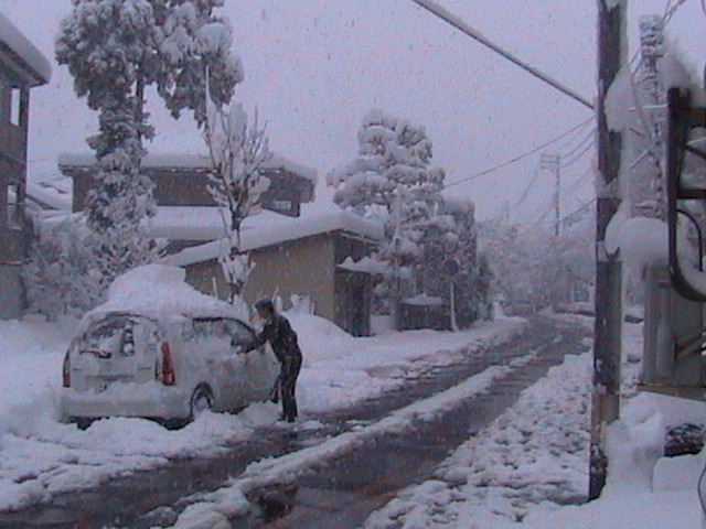firstsnow.jpg